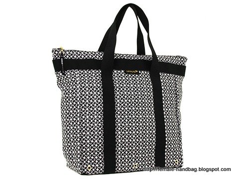 Female-handbag:handbag-1218259