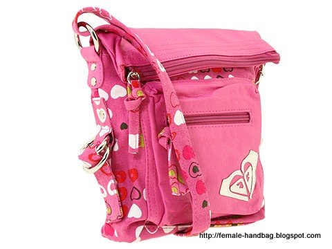 Female-handbag:handbag-1218261