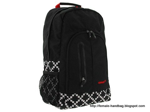 Female-handbag:handbag-1218274