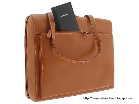 Female-handbag:handbag-1218293
