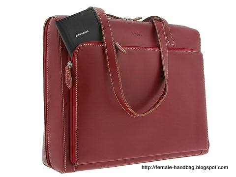 Female-handbag:female-1218292