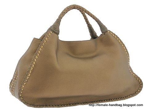 Female-handbag:handbag-1218294
