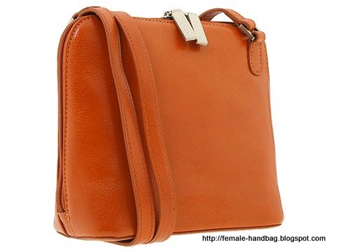 Female-handbag:handbag-1218348