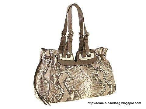 Female-handbag:handbag-1218355