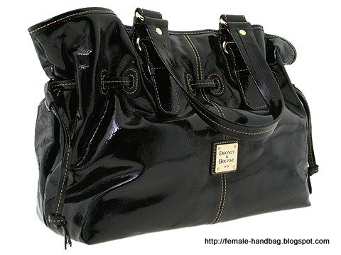 Female-handbag:handbag-1218359