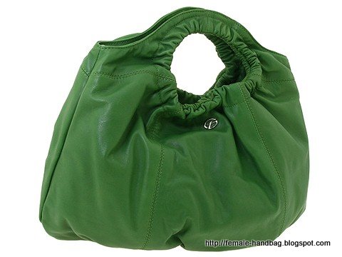 Female-handbag:handbag-1218362