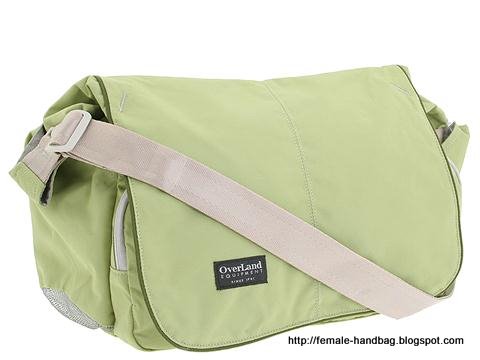 Female-handbag:handbag-1218379