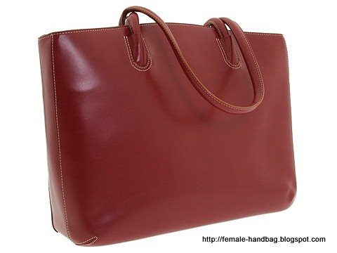 Female-handbag:handbag-1218389