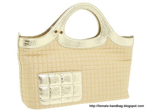 Female-handbag:handbag-1218984
