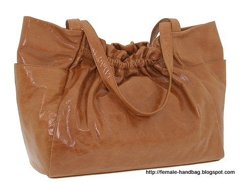 Female-handbag:handbag-1218990