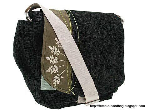 Female-handbag:handbag-1219001