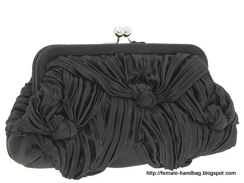 Female-handbag:handbag-1219005