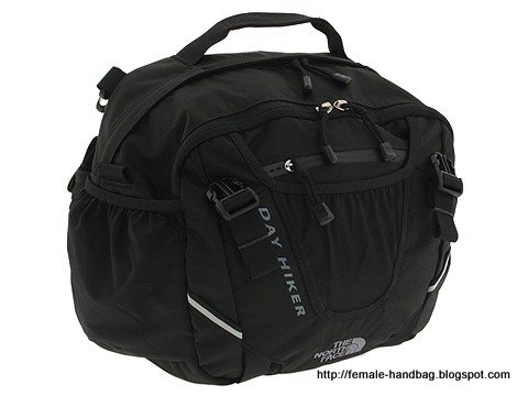 Female-handbag:handbag-1219010