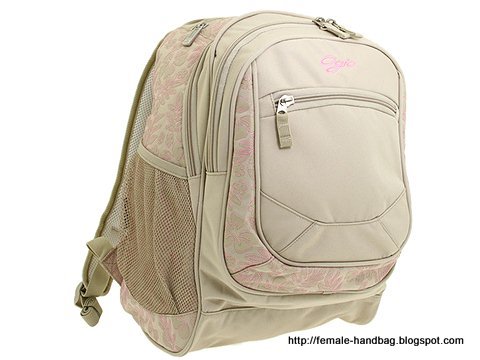Female-handbag:handbag-1219014