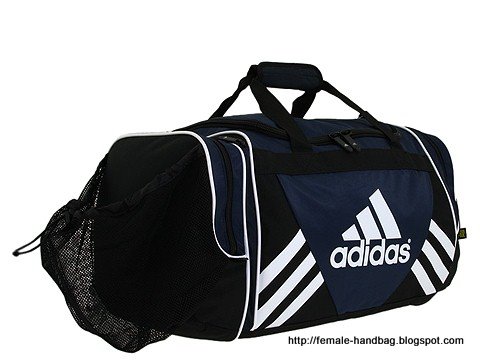 Female-handbag:handbag-1219019