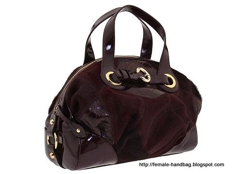 Female-handbag:female-1219103