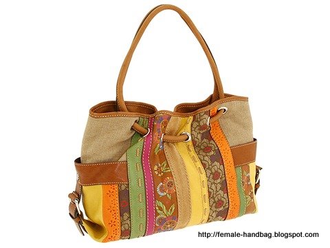 Female-handbag:female-1219239