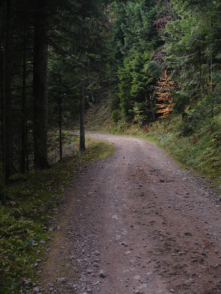 http://lh4.ggpht.com/_VxPr4Ijnp7s/SvAnWPIPyzI/AAAAAAAAC_0/a2cWSjvXmfE/s576/dsc00123.jpg