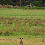 11-21 - Grampians