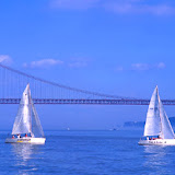pontebarco.jpg
