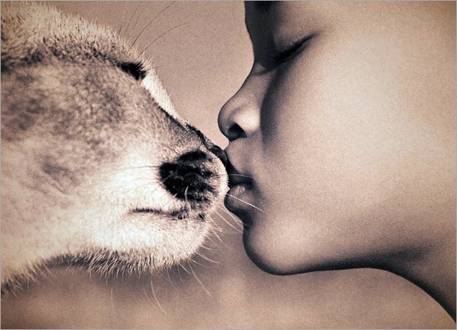 Gregory Colbert 84 Gregory Colbert 84