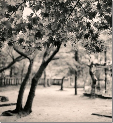 michael_kenna_24 michael_kenna_24