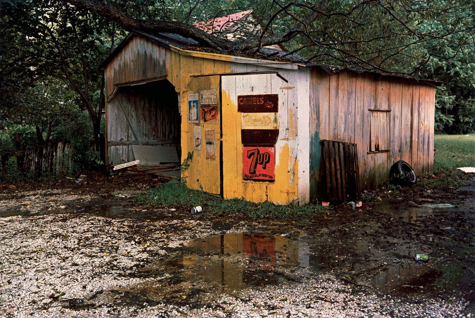 [William Eggleston-Untitled-Mexico-08[6].jpg]