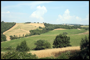 Agriturismo Serratone, Bed and breakfast, Vacanze in appartamento con piscina e aria condizionata in Toscana