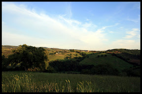 Agriturismo Serratone, Bed and breakfast, Soggiorni in appartamento con piscina e aria condizionata in Toscana