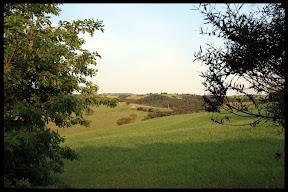 Agriturismo Serratone, Bed and breakfast, una vacanza fantastica in appartamento con piscina e aria condizionata tra il mare della maremma toscana per te e la tua famiglia