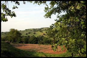 Agriturismo Serratone, Bed and breakfast, Tra le colline toscane ad un passo dal mare la vacanza ideale per te e la tua famiglia