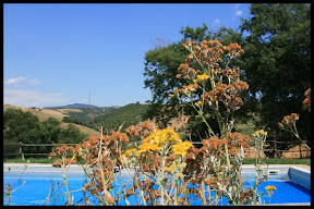 Agriturismo Serratone, Bed and breakfast, Il soggiorno ideale tra cultura,natura sport e divertimento nel cuore della maremma toscana