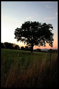 Agriturismo Serratone, Bed and breakfast, Lastminute in appartamento con piscina e aria condizionata in Toscana