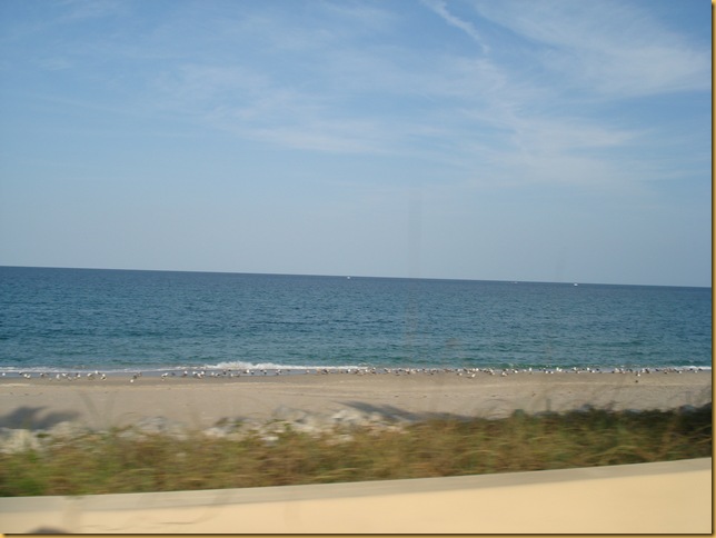 DSC03591 DSC03591