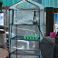 after's Greenhouse garden