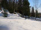 07.03.20 - Forste tegn til vår 2.jpg