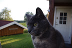IMGP0079.JPG