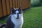 IMGP0398.JPG