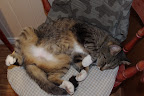 IMGP1061.JPG