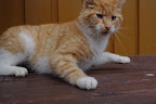 IMGP1181.JPG