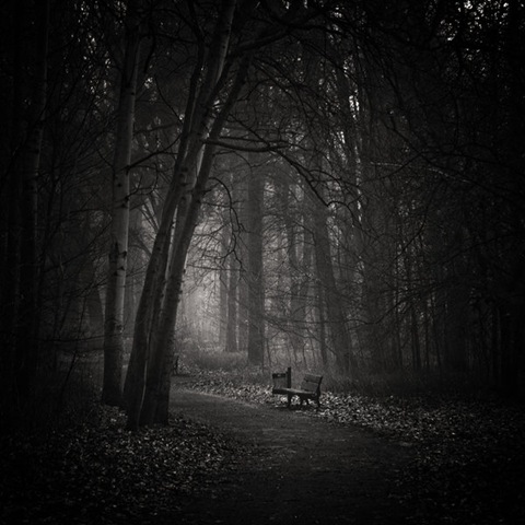[Silence____by_WiciaQ[3].jpg]