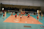 IMGP4624.JPG