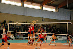 IMGP4633.JPG