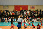 IMGP4648.JPG