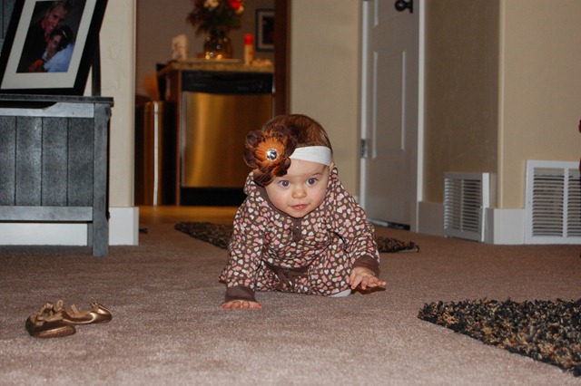 [DSC_0415[3].jpg]