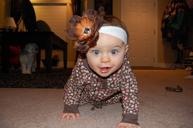 [DSC_0423[3].jpg]