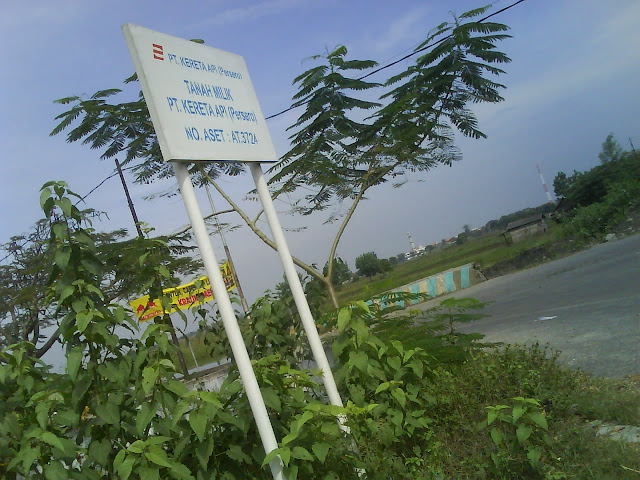 [Image: DSC01202.JPG]