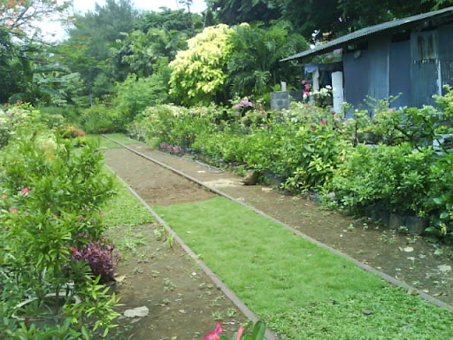 [Image: ckckckck.JPG]