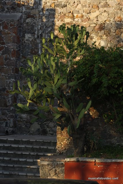 Imagen 479.jpg