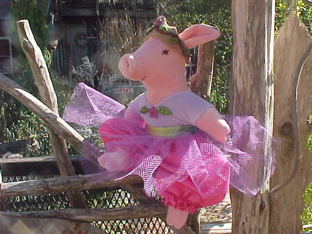 Princess Piggie